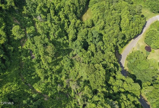 Lot 27 28 Laurel Highlands Road 27-28, Roan Mountain, TN 37687