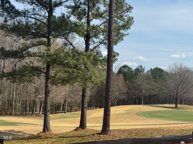 1309 Eagleson Lane, Wake Forest, NC 27587