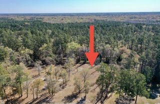TBD Nichols St., Nichols, SC 29581