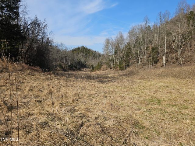 547 Wynding Way Drive, Fort Blackmore, VA 24250