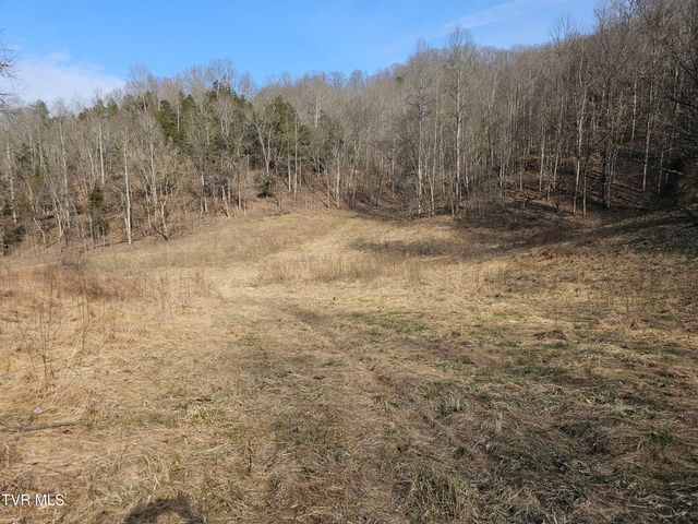 547 Wynding Way Drive, Fort Blackmore, VA 24250