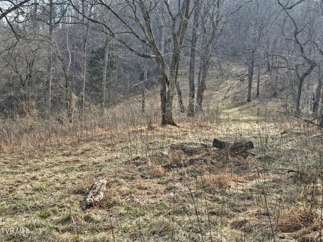 547 Wynding Way Drive, Fort Blackmore, VA 24250