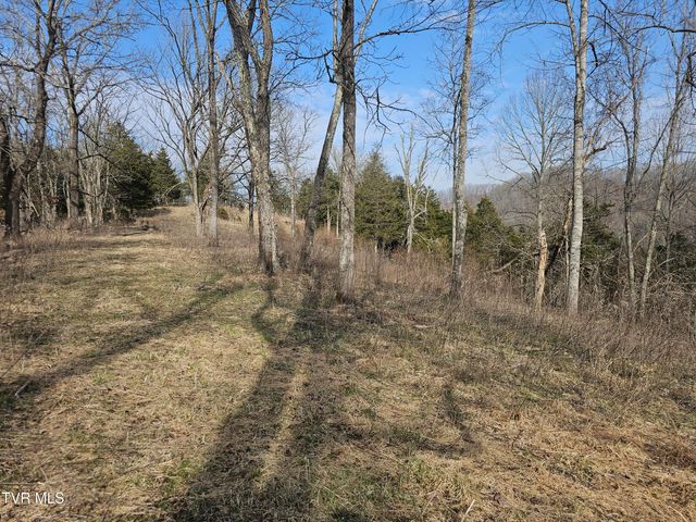 547 Wynding Way Drive, Fort Blackmore, VA 24250