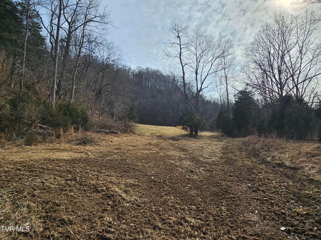 547 Wynding Way Drive, Fort Blackmore, VA 24250