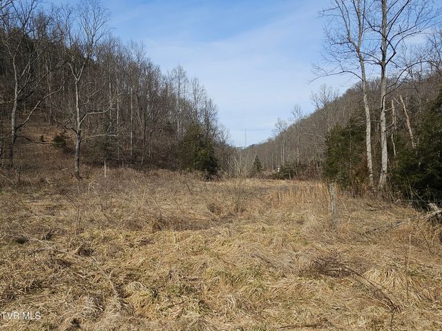547 Wynding Way Drive, Fort Blackmore, VA 24250