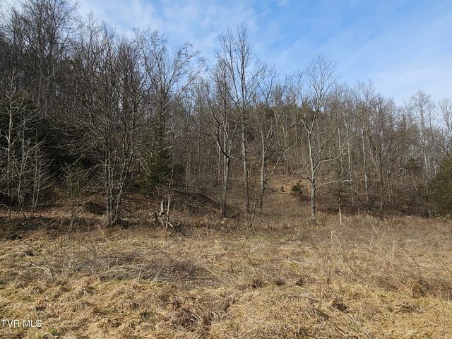 547 Wynding Way Drive, Fort Blackmore, VA 24250