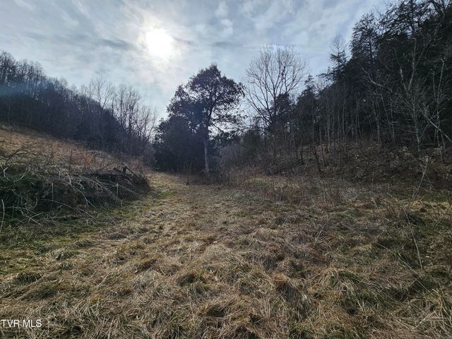 547 Wynding Way Drive, Fort Blackmore, VA 24250