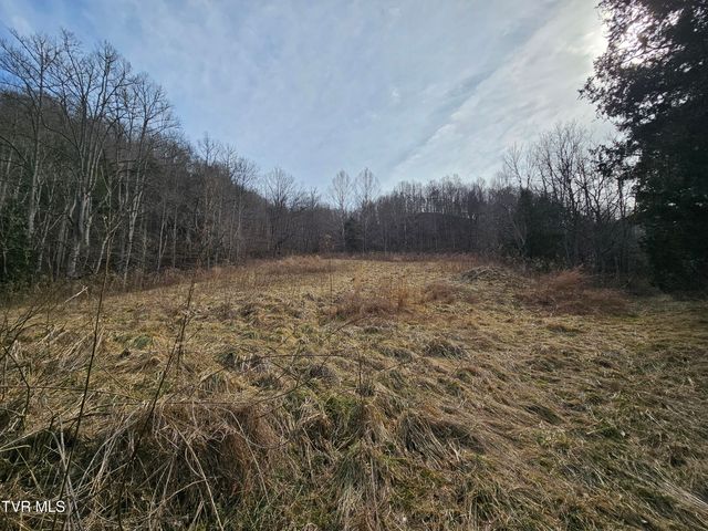 547 Wynding Way Drive, Fort Blackmore, VA 24250