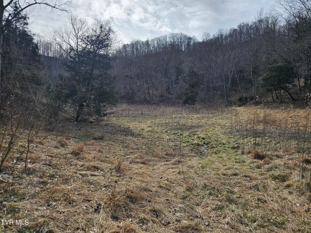 547 Wynding Way Drive, Fort Blackmore, VA 24250