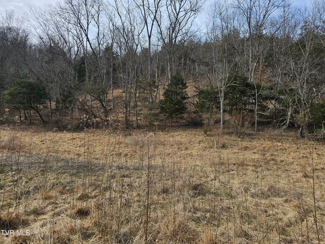 547 Wynding Way Drive, Fort Blackmore, VA 24250