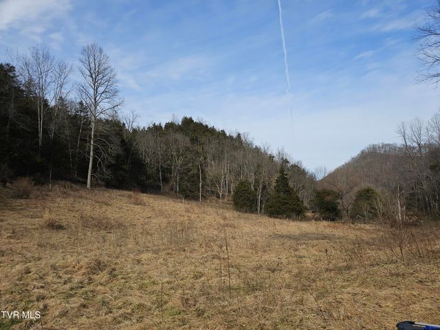 547 Wynding Way Drive, Fort Blackmore, VA 24250