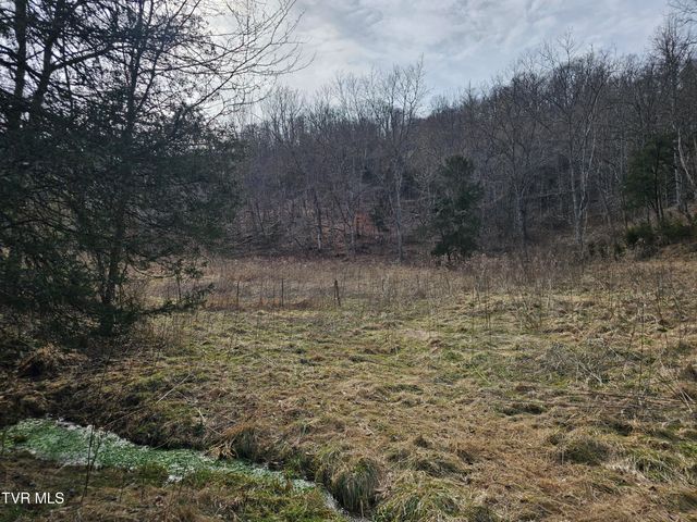 547 Wynding Way Drive, Fort Blackmore, VA 24250