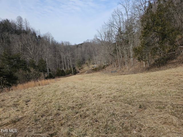 547 Wynding Way Drive, Fort Blackmore, VA 24250