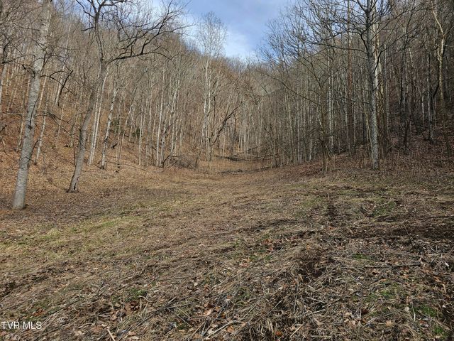 547 Wynding Way Drive, Fort Blackmore, VA 24250