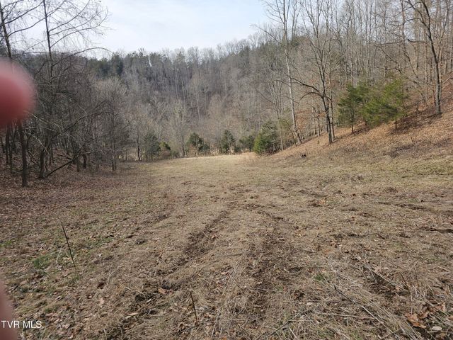 547 Wynding Way Drive, Fort Blackmore, VA 24250