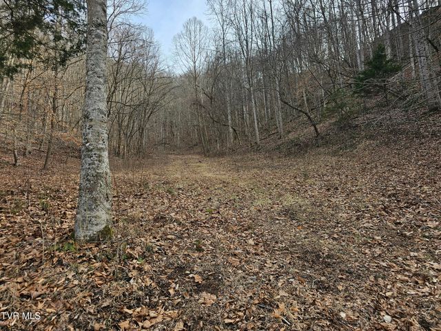 547 Wynding Way Drive, Fort Blackmore, VA 24250