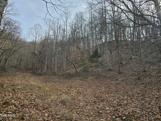 547 Wynding Way Drive, Fort Blackmore, VA 24250