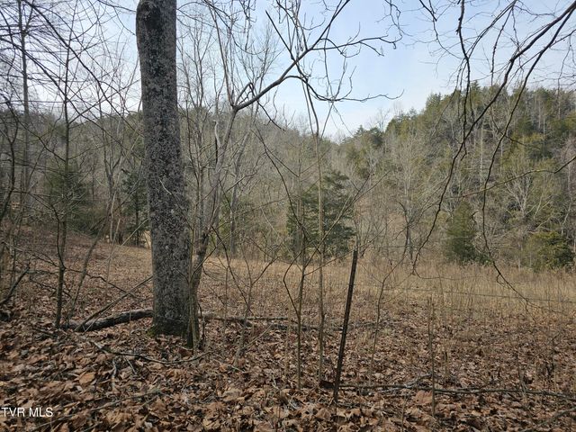547 Wynding Way Drive, Fort Blackmore, VA 24250