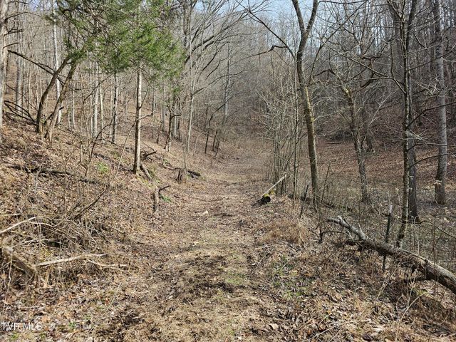 547 Wynding Way Drive, Fort Blackmore, VA 24250