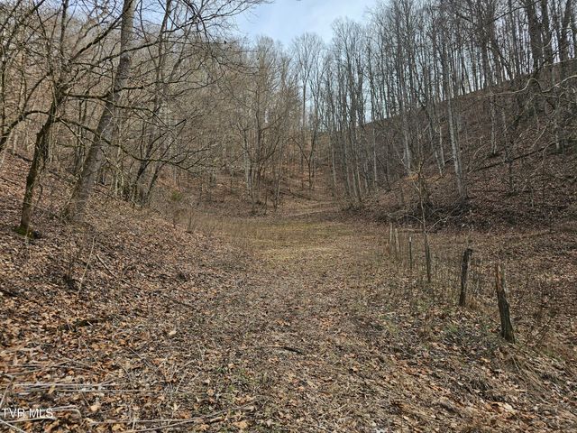 547 Wynding Way Drive, Fort Blackmore, VA 24250