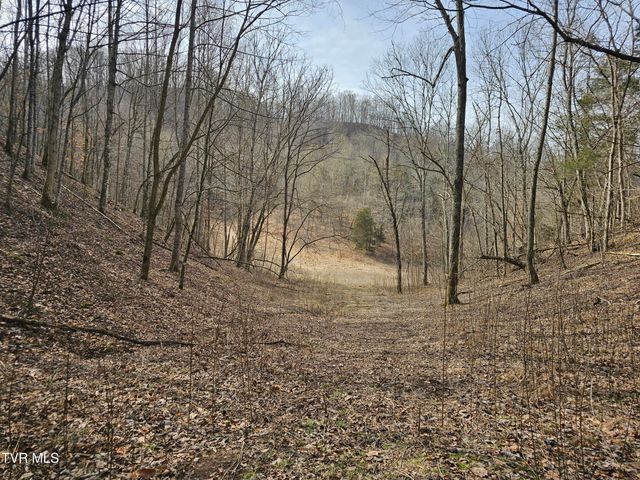 547 Wynding Way Drive, Fort Blackmore, VA 24250