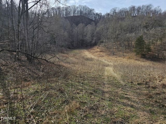 547 Wynding Way Drive, Fort Blackmore, VA 24250