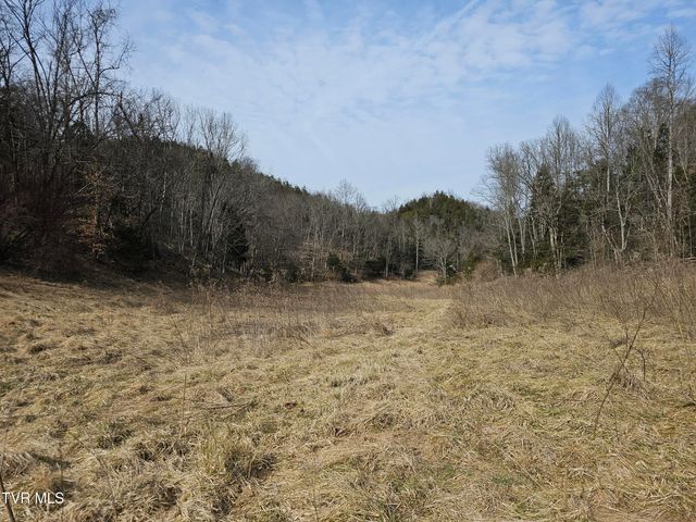 547 Wynding Way Drive, Fort Blackmore, VA 24250