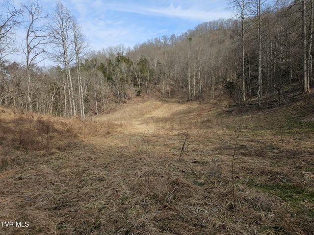 547 Wynding Way Drive, Fort Blackmore, VA 24250