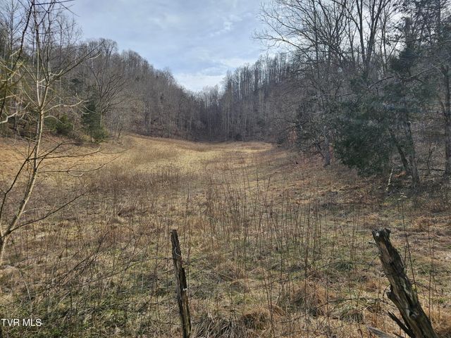 547 Wynding Way Drive, Fort Blackmore, VA 24250
