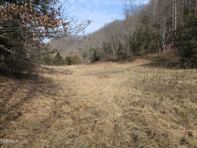 547 Wynding Way Drive, Fort Blackmore, VA 24250