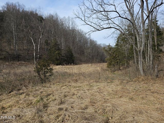 547 Wynding Way Drive, Fort Blackmore, VA 24250