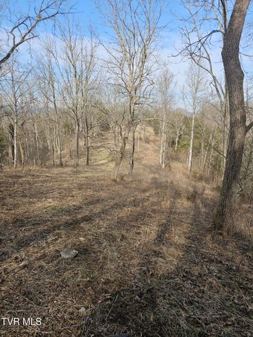 547 Wynding Way Drive, Fort Blackmore, VA 24250