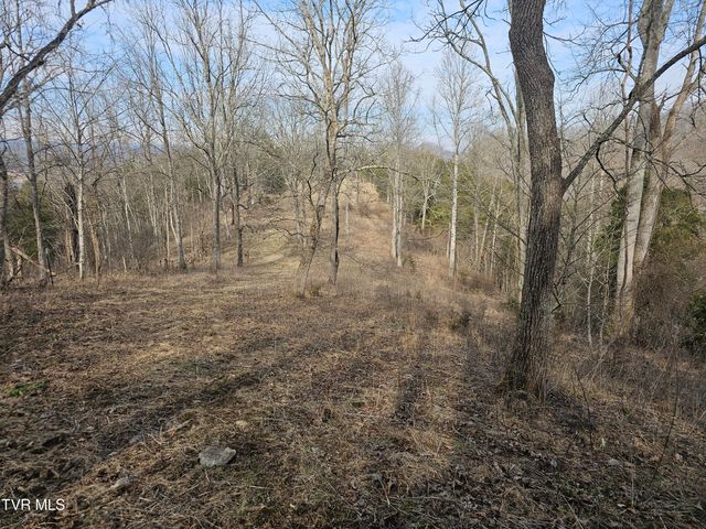 547 Wynding Way Drive, Fort Blackmore, VA 24250