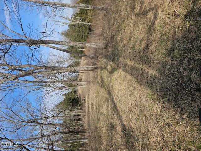 547 Wynding Way Drive, Fort Blackmore, VA 24250