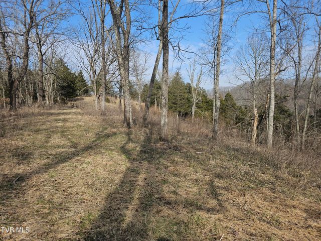547 Wynding Way Drive, Fort Blackmore, VA 24250