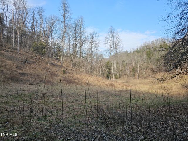 547 Wynding Way Drive, Fort Blackmore, VA 24250