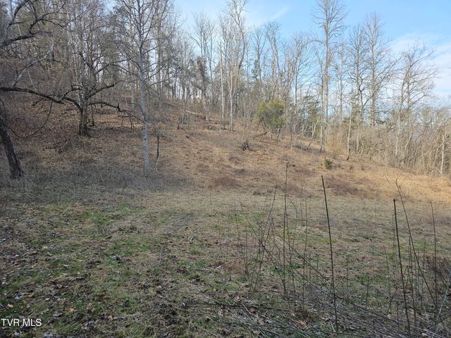 547 Wynding Way Drive, Fort Blackmore, VA 24250