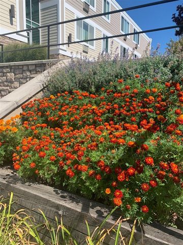 223 N Shore Drive 308, South Haven, MI 49090