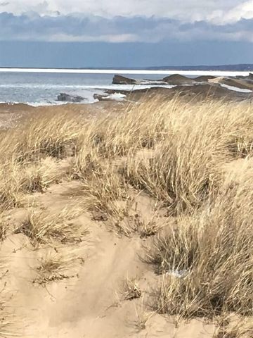 223 N Shore Drive 308, South Haven, MI 49090