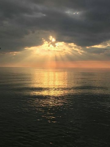 223 N Shore Drive 308, South Haven, MI 49090