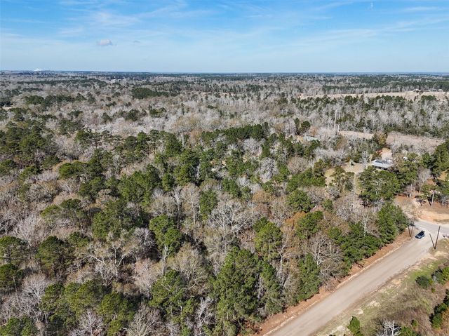 TBD County Line Rd Parcel 1, Willis, TX 77318