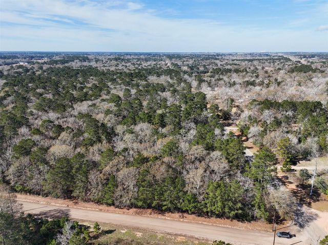 TBD County Line Rd Parcel 1, Willis, TX 77318