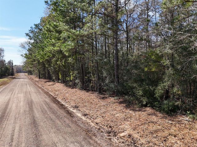 TBD County Line Rd Parcel 1, Willis, TX 77318