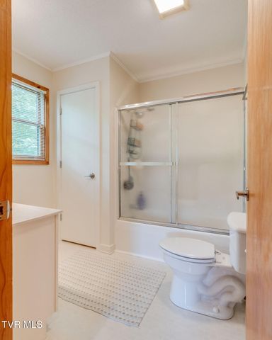 104 Maple Brook Lane, Roan Mountain, TN 37687