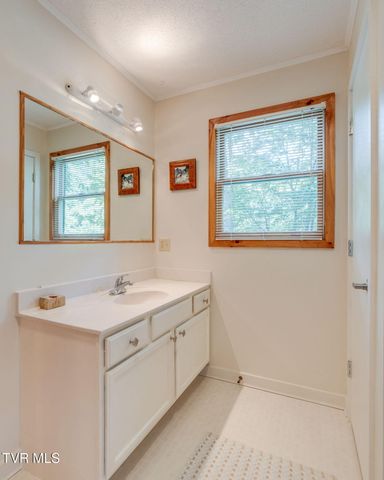 104 Maple Brook Lane, Roan Mountain, TN 37687