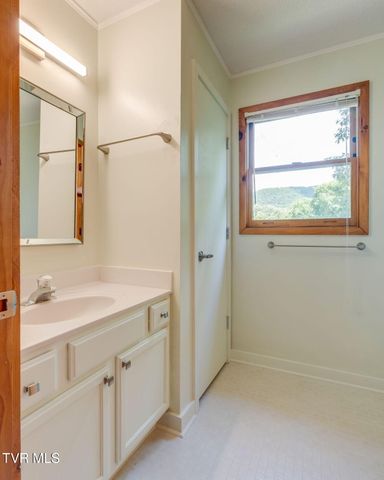 104 Maple Brook Lane, Roan Mountain, TN 37687