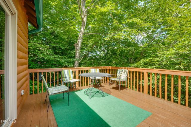 104 Maple Brook Lane, Roan Mountain, TN 37687