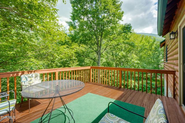 104 Maple Brook Lane, Roan Mountain, TN 37687