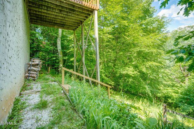 104 Maple Brook Lane, Roan Mountain, TN 37687