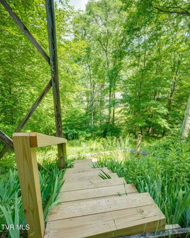 104 Maple Brook Lane, Roan Mountain, TN 37687